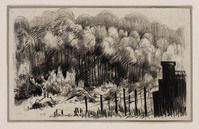 KT 2004 067
<br/>
Bosrand
<br/>
<em>Prenen, Harry (1915-1992)</em>